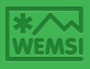 Wemsi Logo
